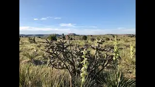 Black Mesa (OKLAHOMA) - Don't Skip Steps
