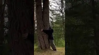 Хорошо 🌱🤲🏼