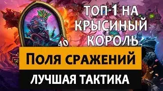Hearthstone (Battlegrounds). Поля сражений: Лучшая тактика. Топ 1 на Крысиный король.