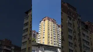 отпусти шаурму на волю