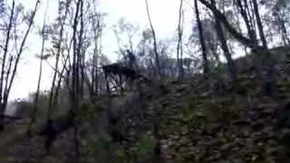 Fuzh - drop