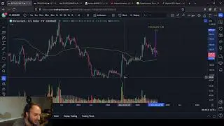 Bitcoin Cash Price Predictions: 9/4/2024