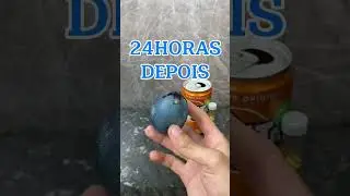 O que será que vai acontecer com o ovo😱 