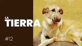 🔴Pintando a Tierra y acabando los detalles importantes 🌍🐶 || 🎨💻ILUSTRACIÓN DIGITAL💻🎨 ||  Tierra #12