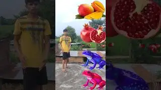 Colors Frog to Mango, Pomegranate, Orange, Grapess, - vfx magical video #shortsfeed #comedy #vfx
