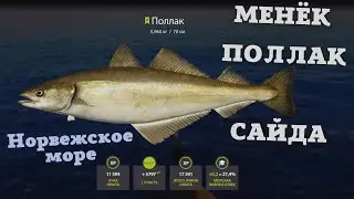 Русская рыбалка 4 (РР4) Норвежское море Поллак, Менёк, Сайда