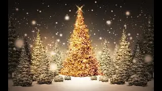 Новогоднее поздравление Амператора!