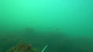ПО. Перекачал ружье.
