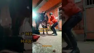 хитрюга😹 я всегда онлайн в телеграме - eqvirey