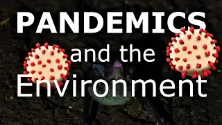 Destroying Nature is Making Us Sick!