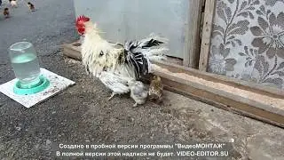 - Премия " Отец года" вручается...