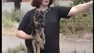 МЕШКОТАРА КУРМЕЛ-ГУЛ_ МАЙКОП