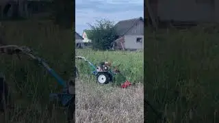 Будзь сабой у сваім падворку …