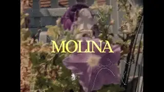 MMONN - Molina (Visualizer)