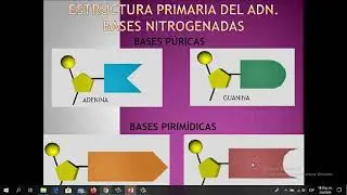 CLASE TEÓRICA N° 3 