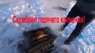 Скумбрия горячего копчения