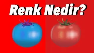 Herkes Renkleri Farklı mı Görüyor? (Işık Kavramı)