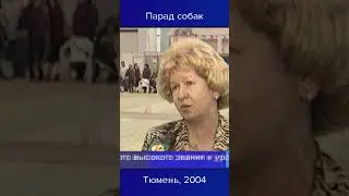 Парад собак (неполный сюжет) #shorts  #тюмень