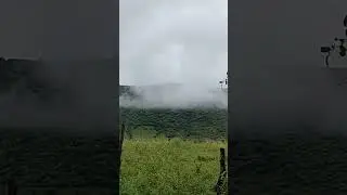Tá lindo demais!!!