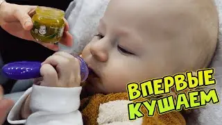 Первый ПРИКОРМ
