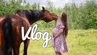 Vlog! Лошади и декрет часть 2!