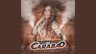 Te Esperando no Carabao