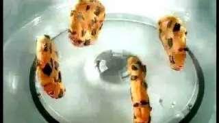 Chips Ahoy Commercial