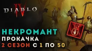 Diablo 4 гайд. Прокачка некроманта с 1 по 50 уровни 2 сезон. Волнение крови | Диабло 4 | D4 guide