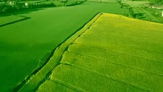 አእሚሮን ዘና የሚያደርግ Beautiful relaxing music for stress relief - Relaxing music for spiritual healing 15
