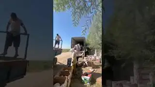 Погрузка дыни 🍈📦🚛