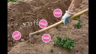 farming test stream Osu!