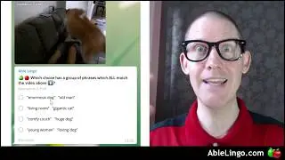 🍎 Couch Dog | Multiple Choice Question with Explanation