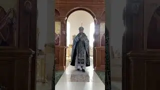 Свет Христов просвещает всех
