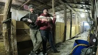 🐮🐷НАВЕЛИ ШОРОХУ У ХЛІВІ! ТА ІДЕЇ АБГРЕЙТУ ПРИЧЕПА ВІД ПІДПИСНИКІВ!😯