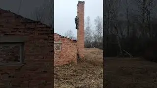 трудное детство🤣🤣