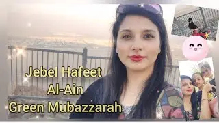 Jebel Hafeet Al-Ain | Top View of Mountain Jebel Hafeet & Green Mubazzarah Al-Ain UAE #uae