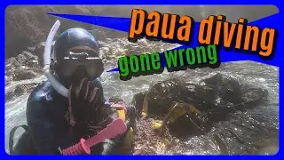 Paua diving & spearfishing... GONE WRONG (Part 1)