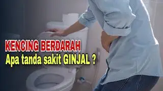 Hematuria : Kenali Penyebab Kencing Bercampur Darah