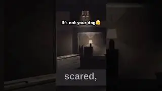 Yeah run ⚠️ scariest true reddit stories + roblox jump scares #scarystorytime #scarystories