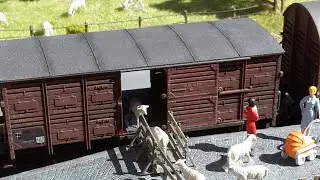 How to become a model railroader in 10 steps- enthusing your partner for our hobby