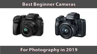 Best Beginner Cameras for Photography in 2019