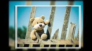 CARTOON VIDEO