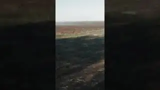 дт 75 н с кпс 6.2