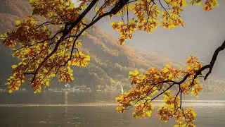 Relax music. 🎶Осіння розслаблююча музика від стресу. Autumn relaxing music for stress.