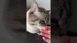 Всем здрасти!!!!!!!!!!!