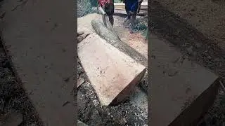 pengolahan kayu bayo