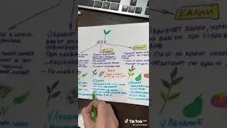 причины болезни растений