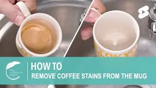 How to Remove Coffee Stains from The Mug #shorts