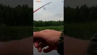 #shorts НА ПОПЛА ПОППЕР. НА ПЛЮХ ИЗ ЗАВОДИ
