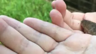 We found a slug 🐌